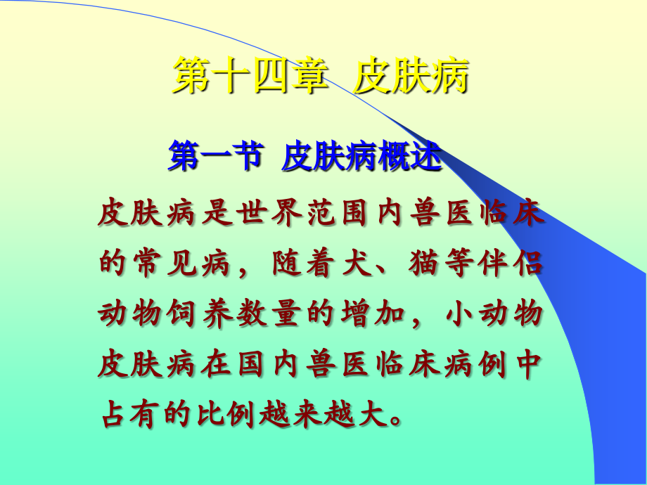 医学课件兽医皮肤病专题宣讲.ppt_第1页
