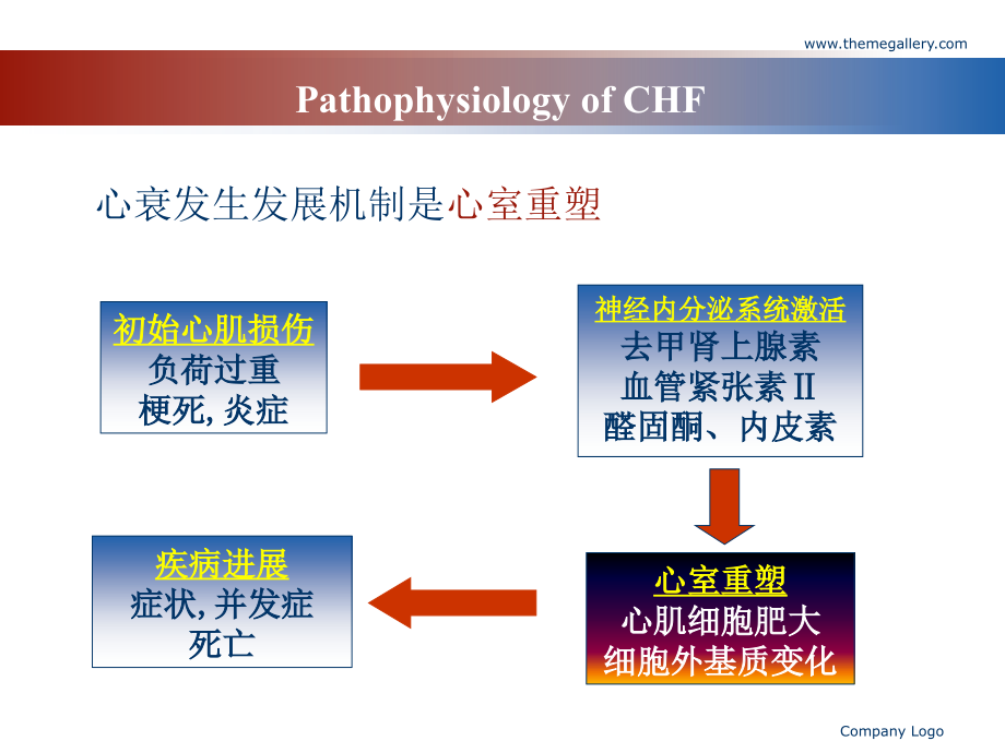 小儿慢性心功能不全的诊治现状及展望.ppt_第2页