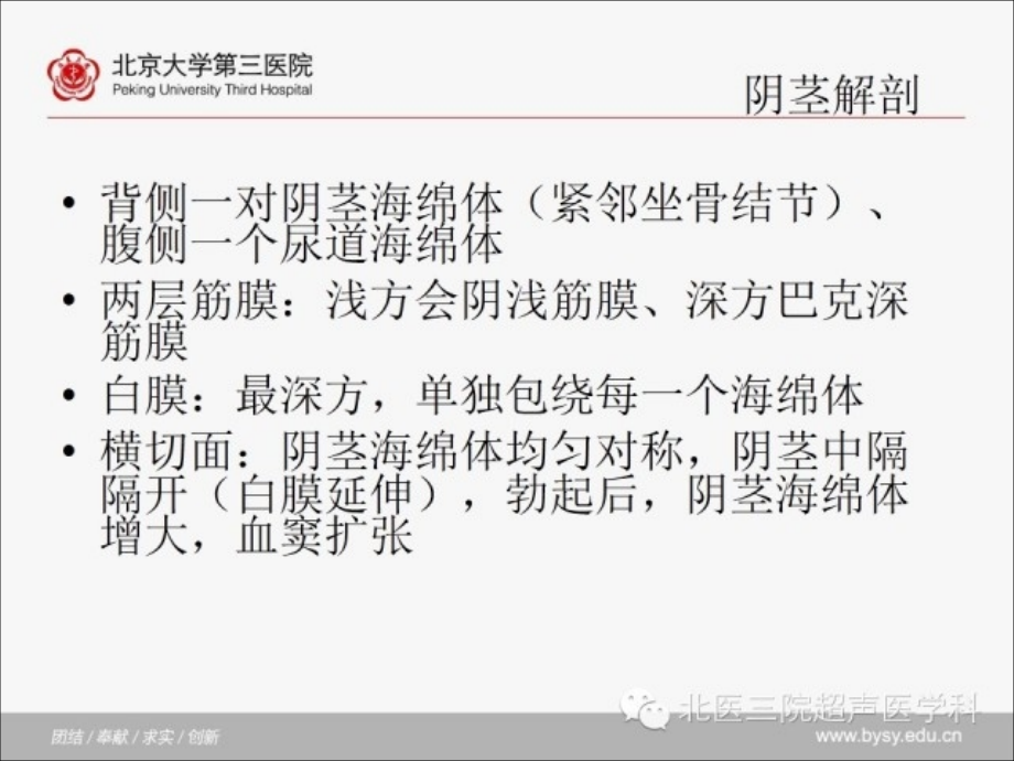 阴茎损伤的超声表现课件.ppt_第1页
