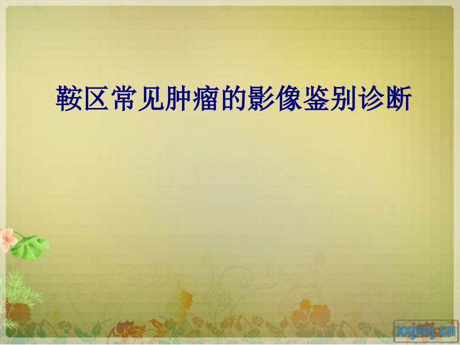 医学鞍区常见肿瘤的影像鉴别诊断专题.ppt_第1页
