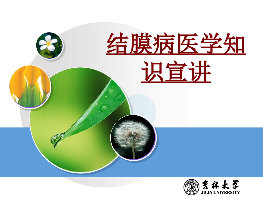 医学结膜病医学知识宣讲.ppt_第1页