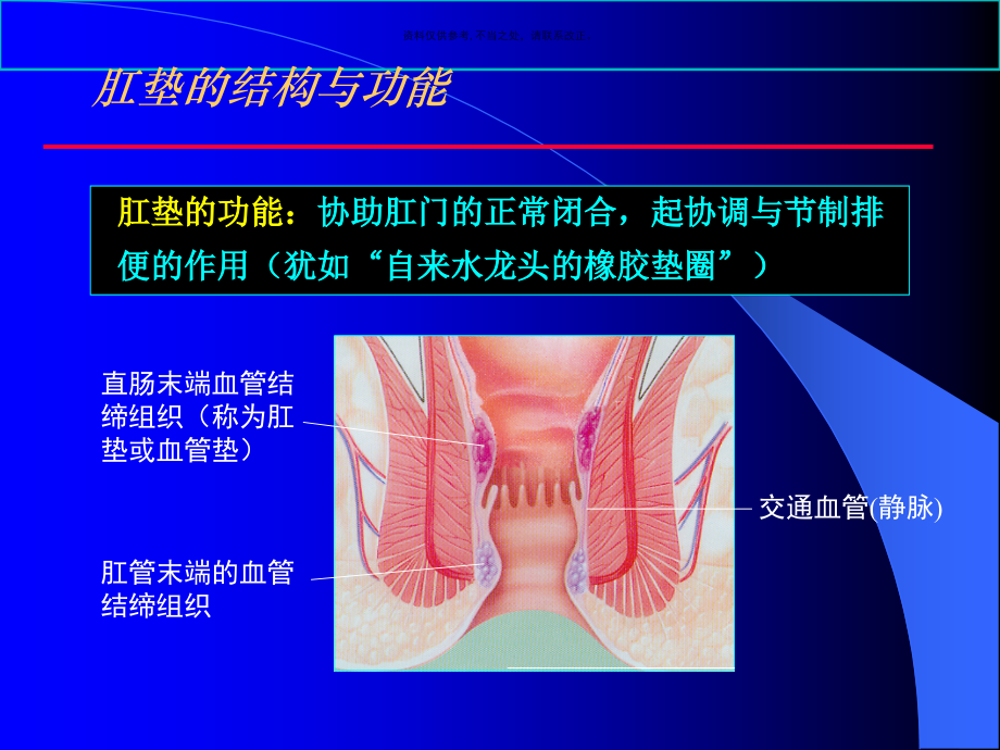 痔疮和套扎治疗演讲稿.ppt_第2页