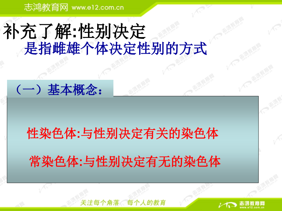 2.3《伴性遗传》PPT课件(新人教版-必修2)(共63页).ppt_第2页