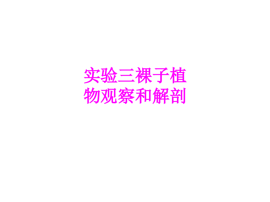 医学实验三裸子植物观察和解剖.ppt_第1页