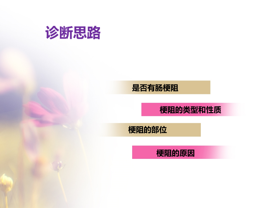 肠梗阻的诊疗.ppt_第2页