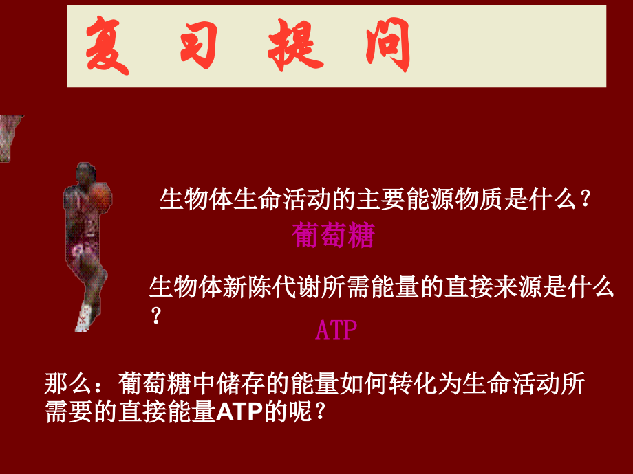 细胞呼吸(市优质课).ppt_第1页