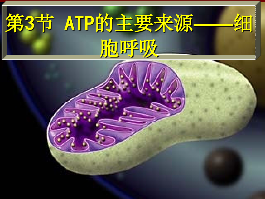 细胞呼吸(市优质课).ppt_第2页
