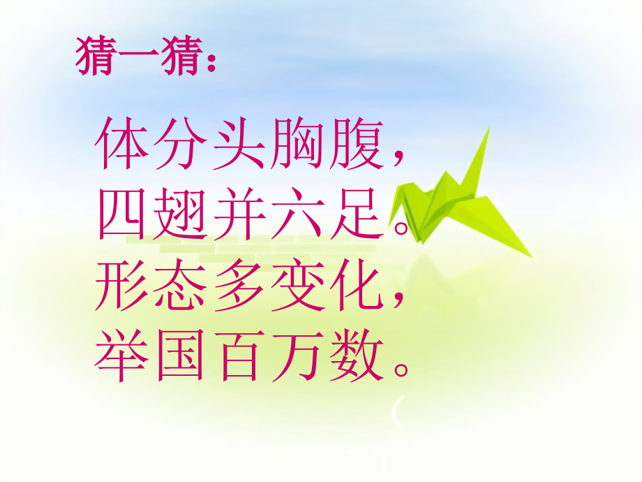 奇妙的昆虫.ppt_第1页