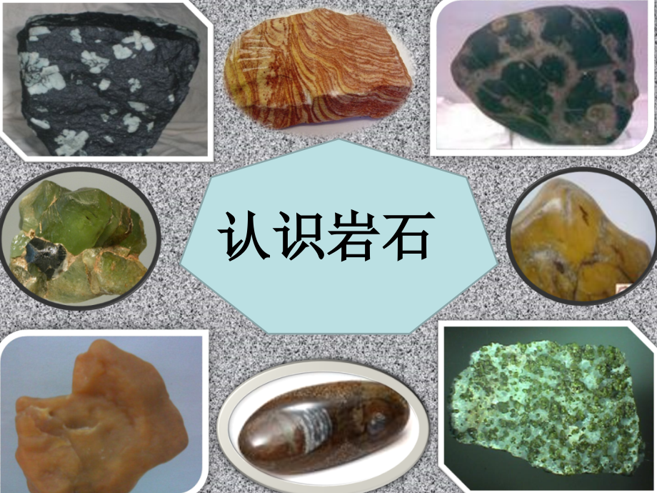 认识岩石.ppt_第1页