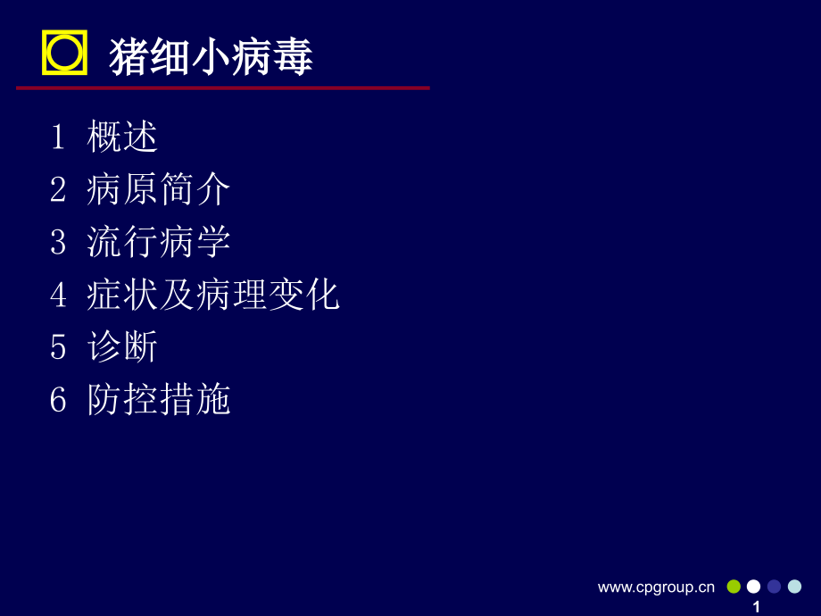 猪细小病毒专题知识宣讲优质PPT课件.ppt_第2页