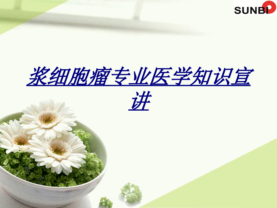 浆细胞瘤专业医学知识宣讲讲义.ppt_第1页