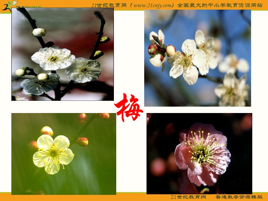 《病梅馆记》ppt.ppt_第2页