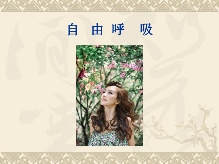 鼻炎鼻窦炎专题宣讲讲义.ppt_第2页