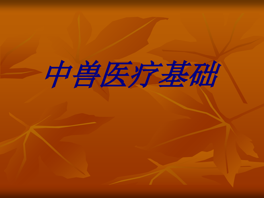 中兽医疗基础.ppt_第1页