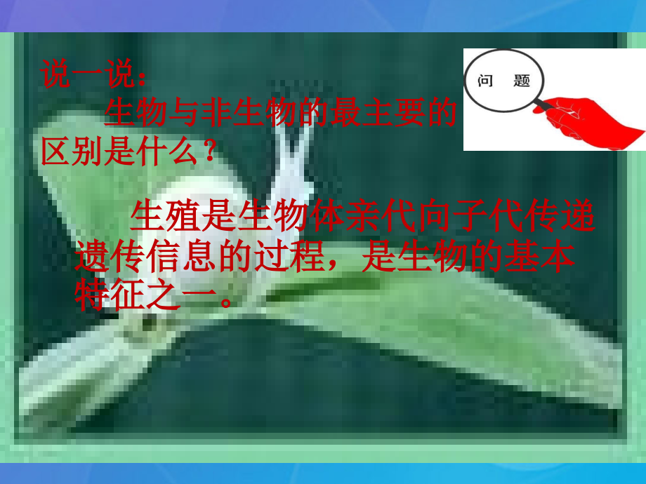 2春七年级科学下册6.1《动物的生殖和发育》1华东师大版.ppt_第1页