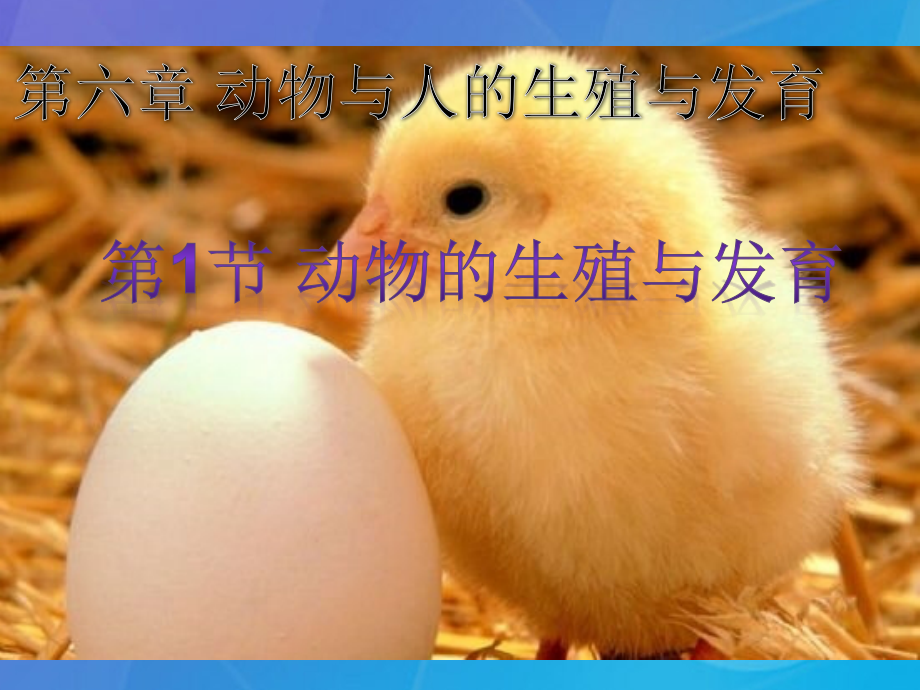 2春七年级科学下册6.1《动物的生殖和发育》1华东师大版.ppt_第2页