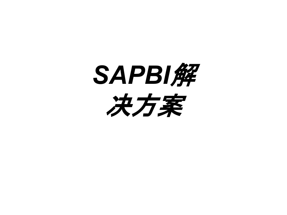 SAPBI解决方案.ppt_第1页