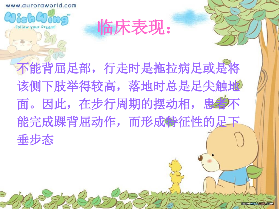 医学课件足下垂预防与护理.ppt_第2页