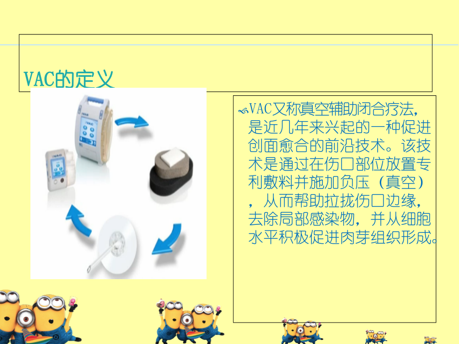 VAC的使用和护理观察要点.ppt_第2页