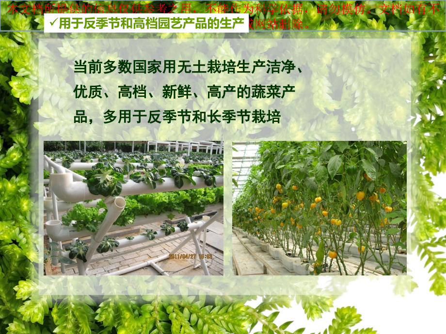 无土栽培专题知识专业知识讲座.ppt_第2页