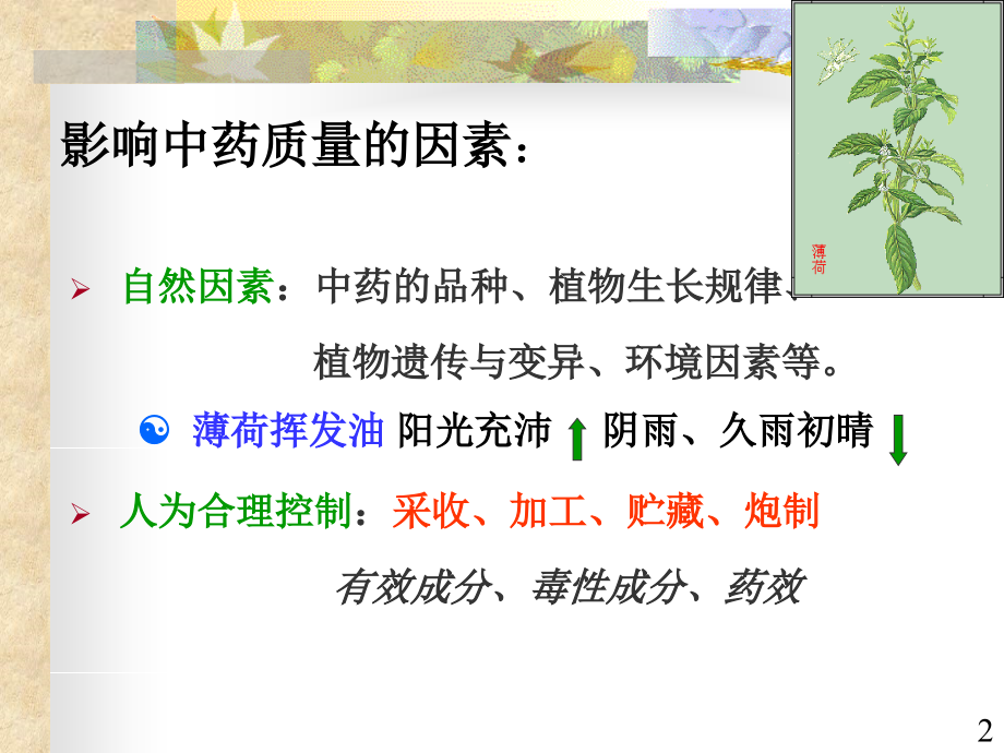 中草药的采收加工贮藏炮制.ppt_第2页