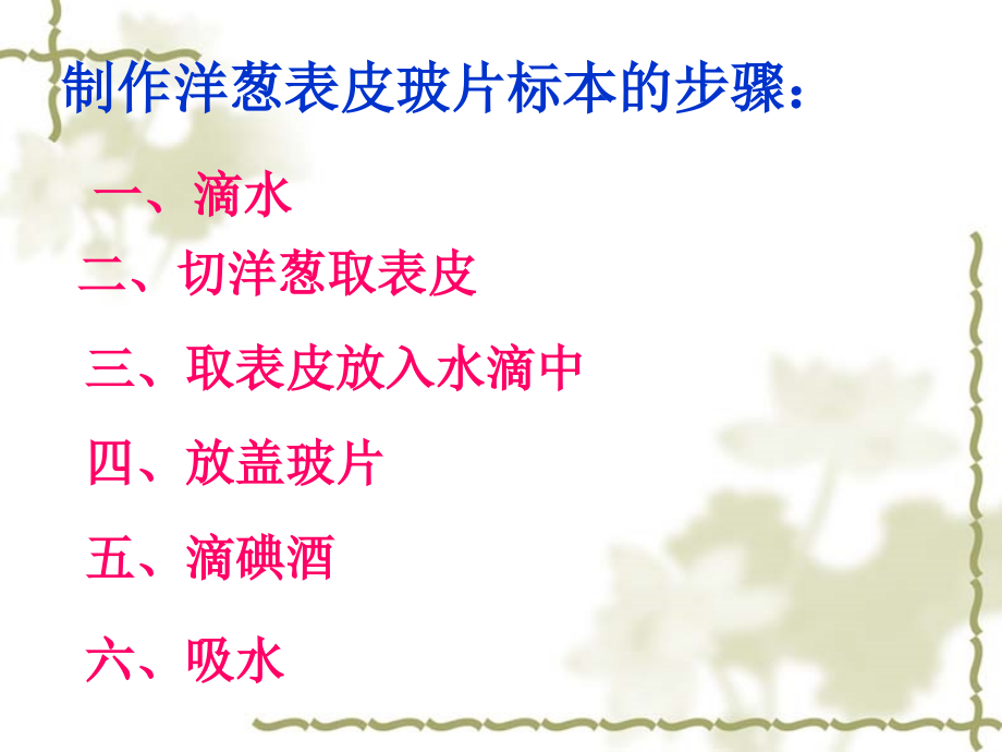 用显微镜观察身边的生命世界(二).ppt_第2页