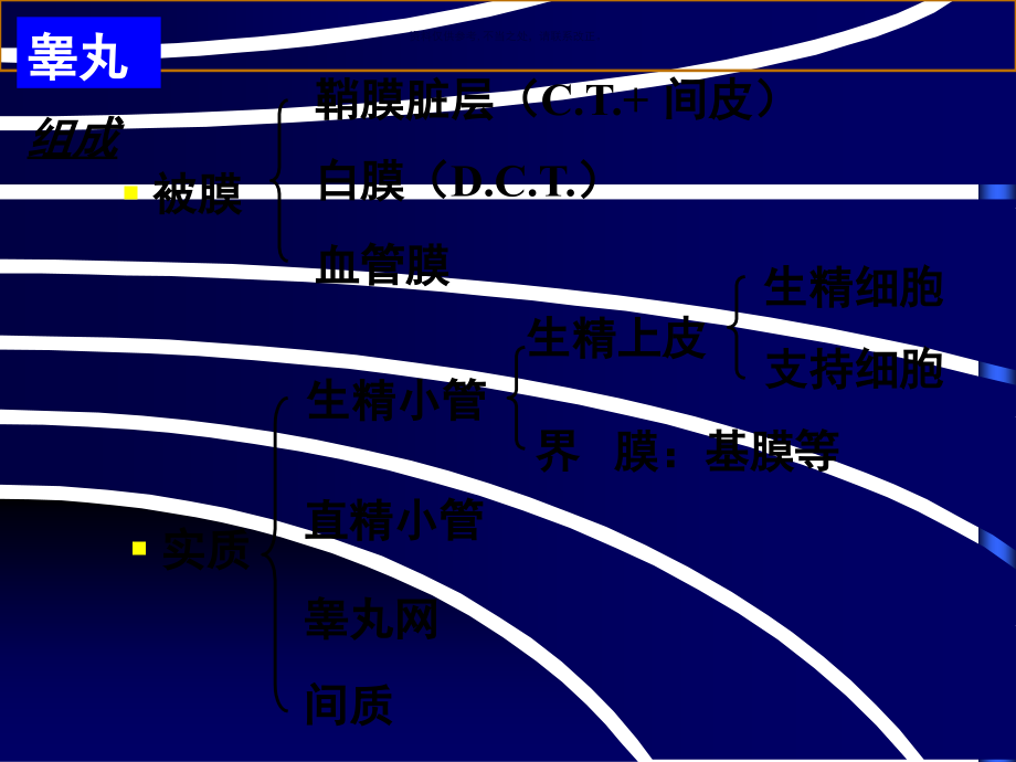 组织学和胚胎学男性生殖系统医学知识.ppt_第2页