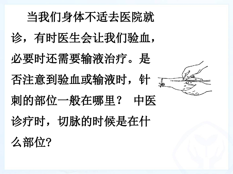 新版血流的管道血管-专题知识讲座.ppt_第2页