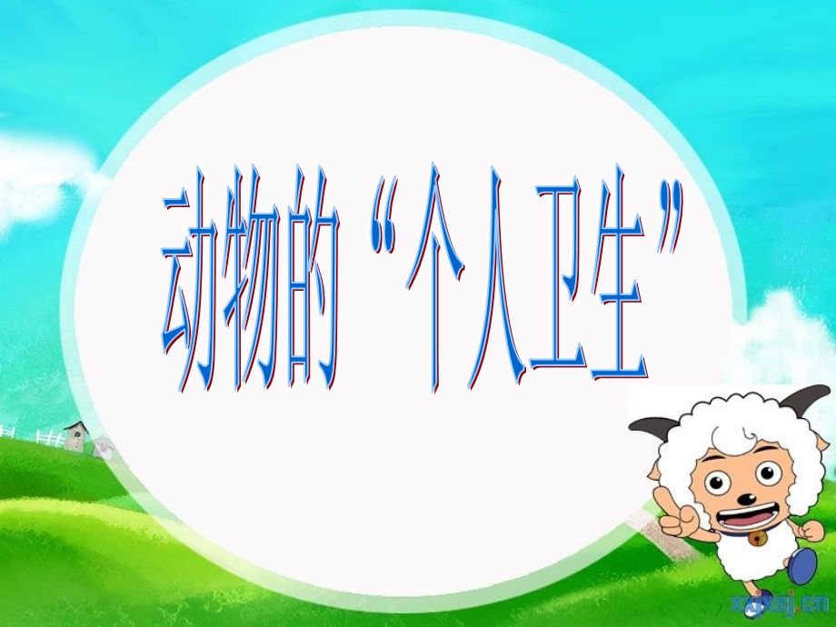 动物的个人卫生课件.ppt_第2页