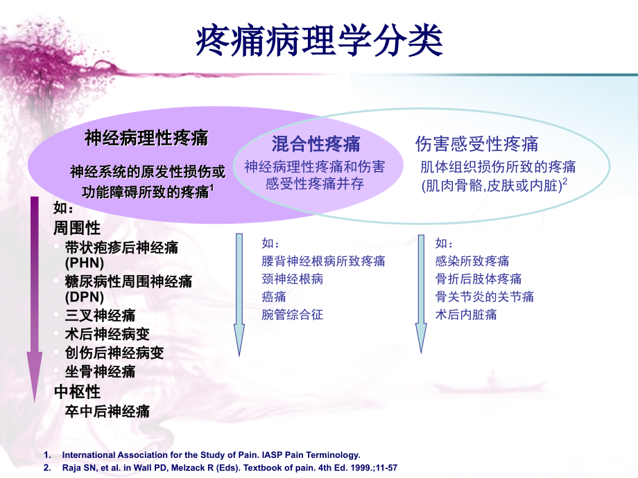 医学课件神经病理性疼痛的诊疗和治疗.ppt_第1页