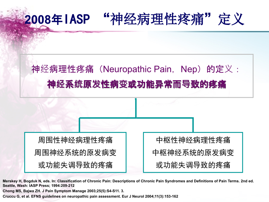 医学课件神经病理性疼痛的诊疗和治疗.ppt_第2页