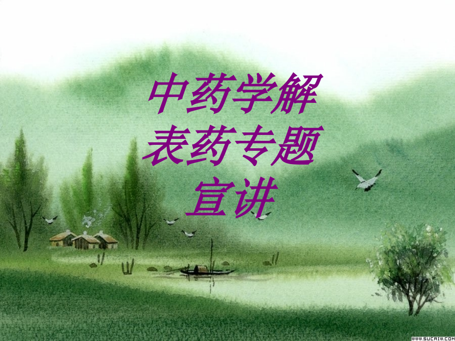 中药学解表药专题宣讲.ppt_第1页