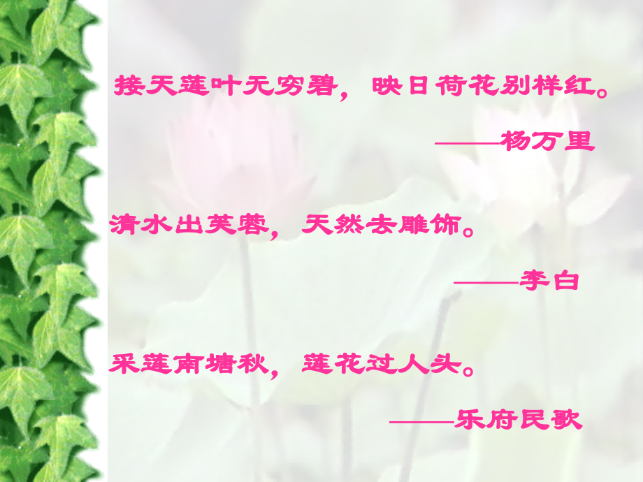 《爱莲说》ppt课件.ppt_第2页