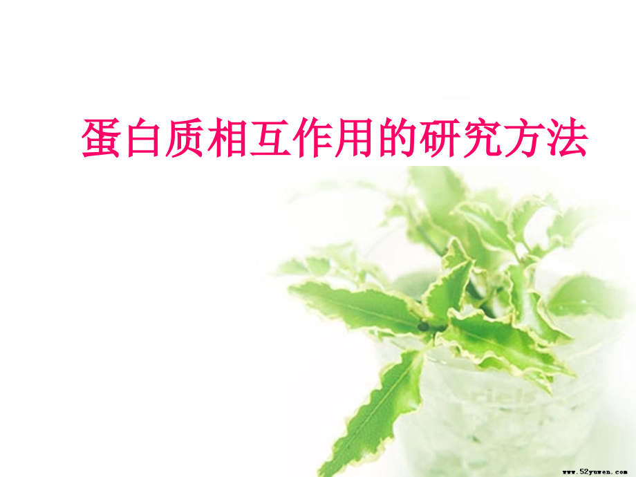 蛋白质相互作用.ppt_第1页