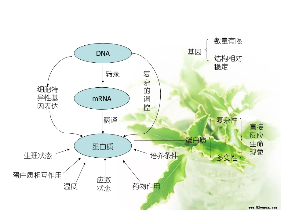蛋白质相互作用.ppt_第2页