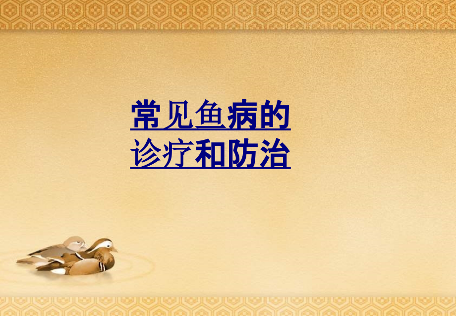 常见鱼病的诊疗和防治-PPT医学课件.ppt_第1页