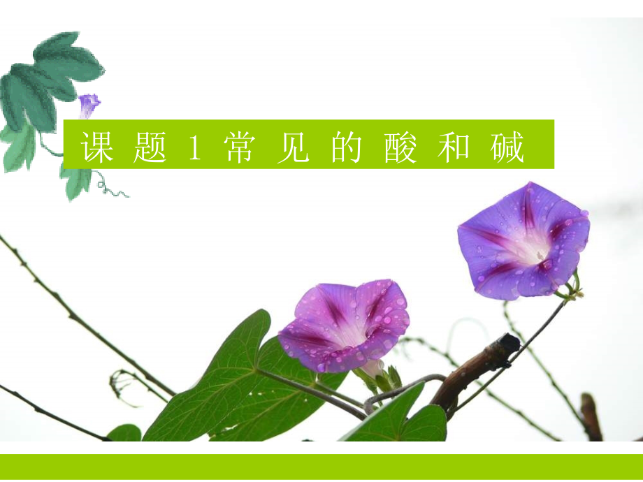 九年级化学常见的酸和碱课件-新课标-人教版.ppt_第1页