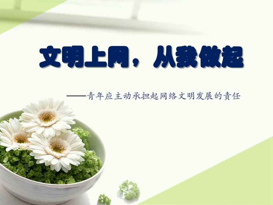 道德讲座：文明上网从我做起.ppt_第1页