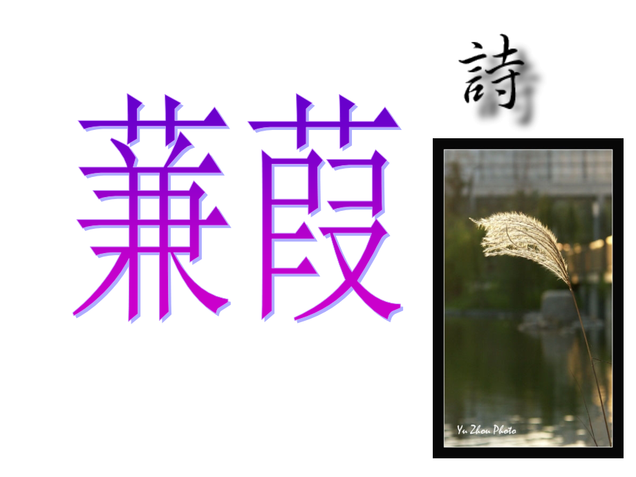 《蒹葭》优秀课件-(2).ppt_第1页