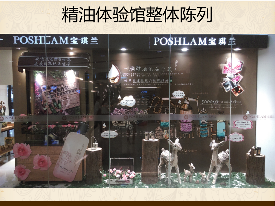 新精油体验馆陈列指引.ppt_第2页