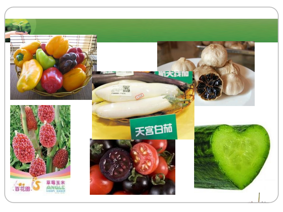 作物育种学诱变育种宣讲.ppt_第2页