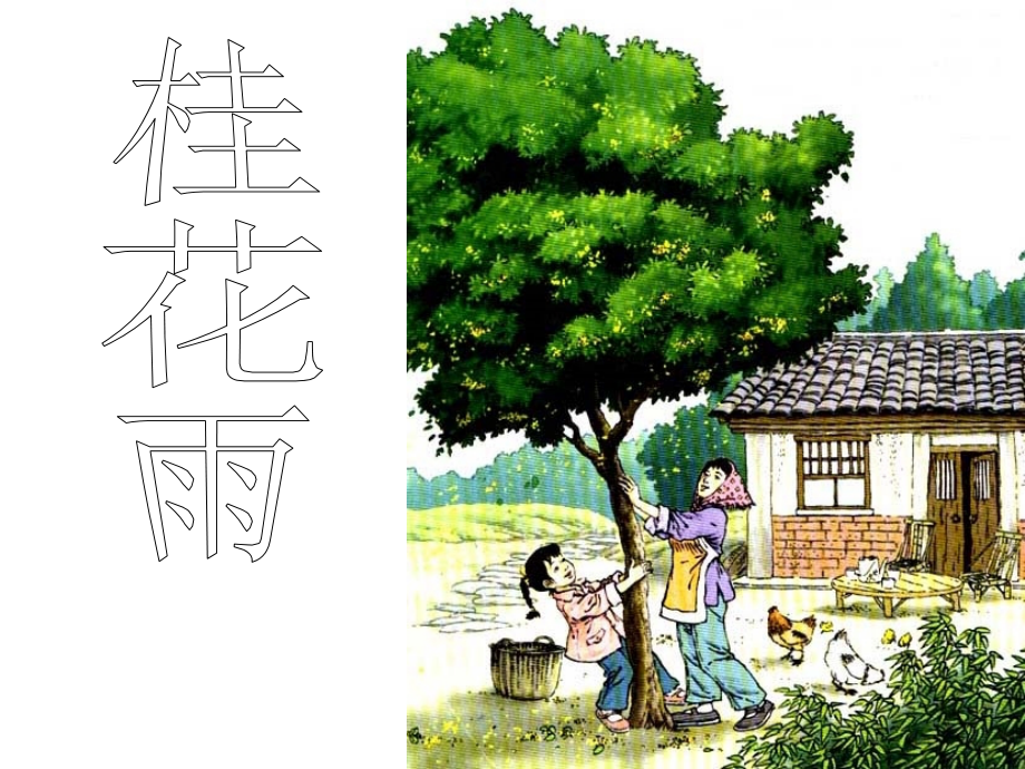 【人教版】五年级语文上册-7.桂花雨课件.ppt_第1页