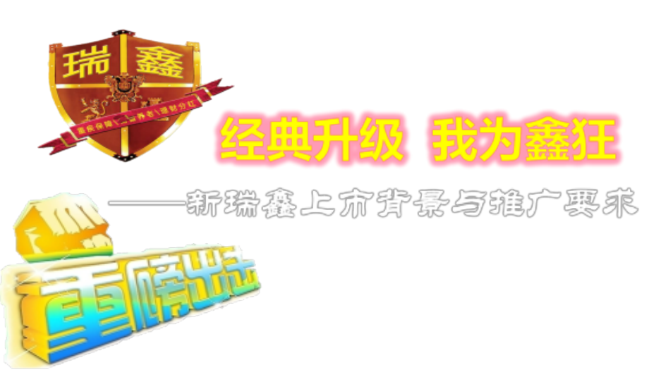 新瑞鑫上市背景与推广要求.ppt_第1页