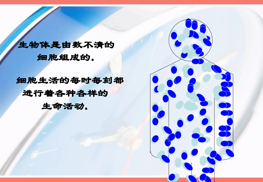 细胞的生活课件.ppt_第2页