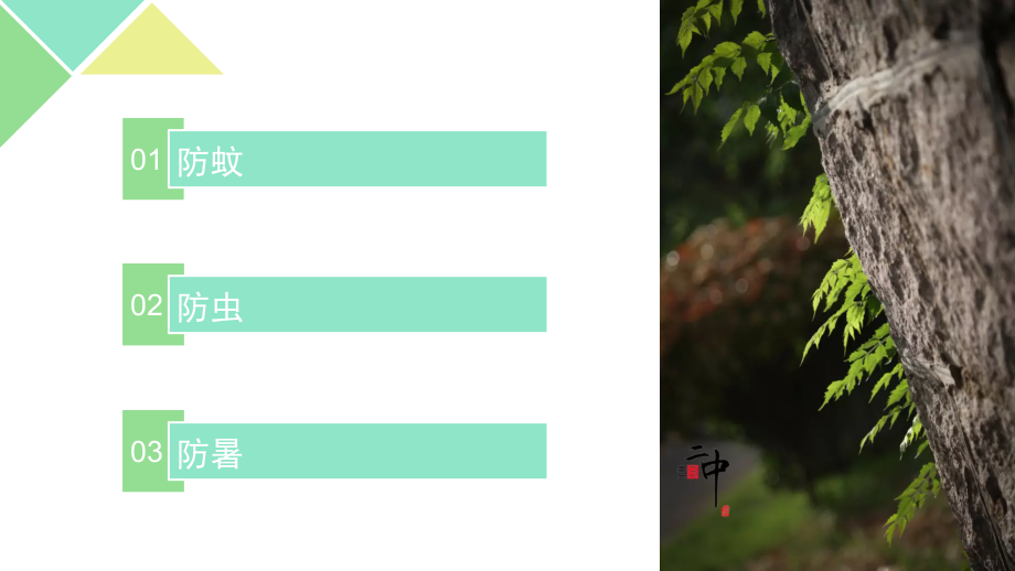 夏季防蚊防虫防暑.ppt_第2页