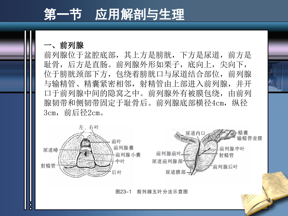 医学课件前列腺疾病的超声诊断.ppt_第1页