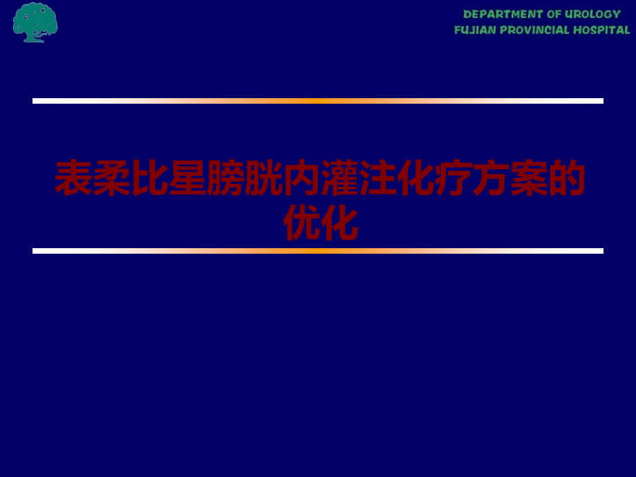 医学表柔比星膀胱内灌注化疗方案的优化.ppt_第1页
