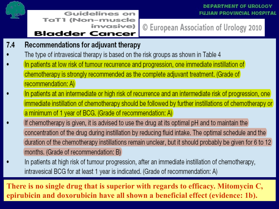 医学表柔比星膀胱内灌注化疗方案的优化.ppt_第2页