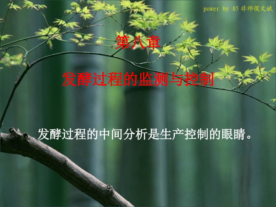 第八章-发酵过程参数的检测及控制.ppt_第1页