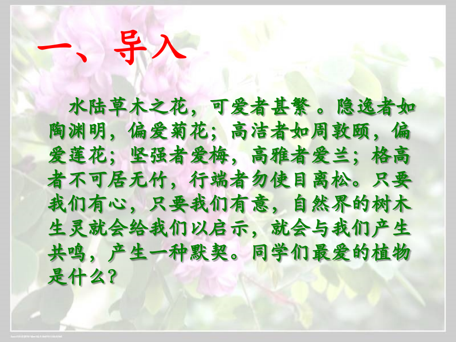《窗前的树》.ppt_第1页